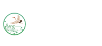 殡葬展|中国殡葬展览会