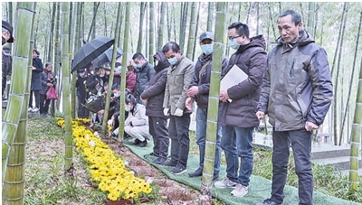 浙江安吉：竹林生态葬吹起绿色殡葬新风